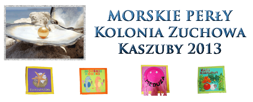 Kolonia Zuchowa 2013